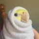 Luka Mucko