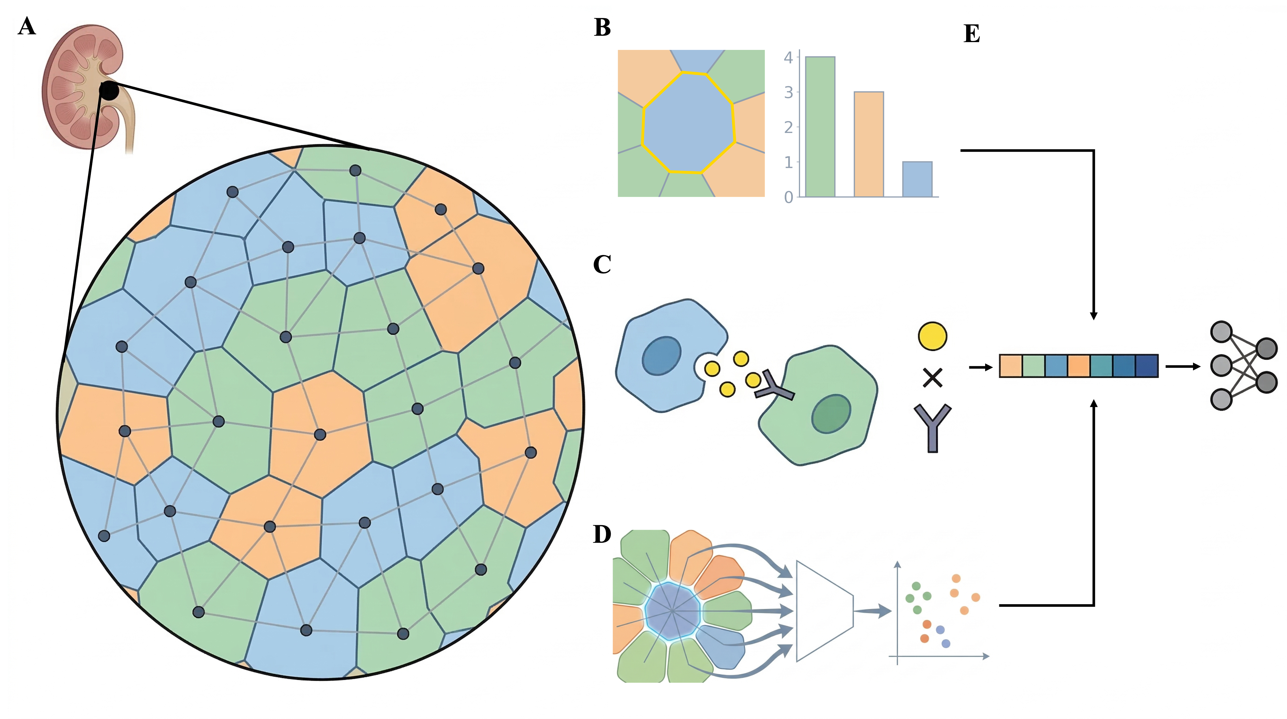 Single-Cell Biology & Dynamics